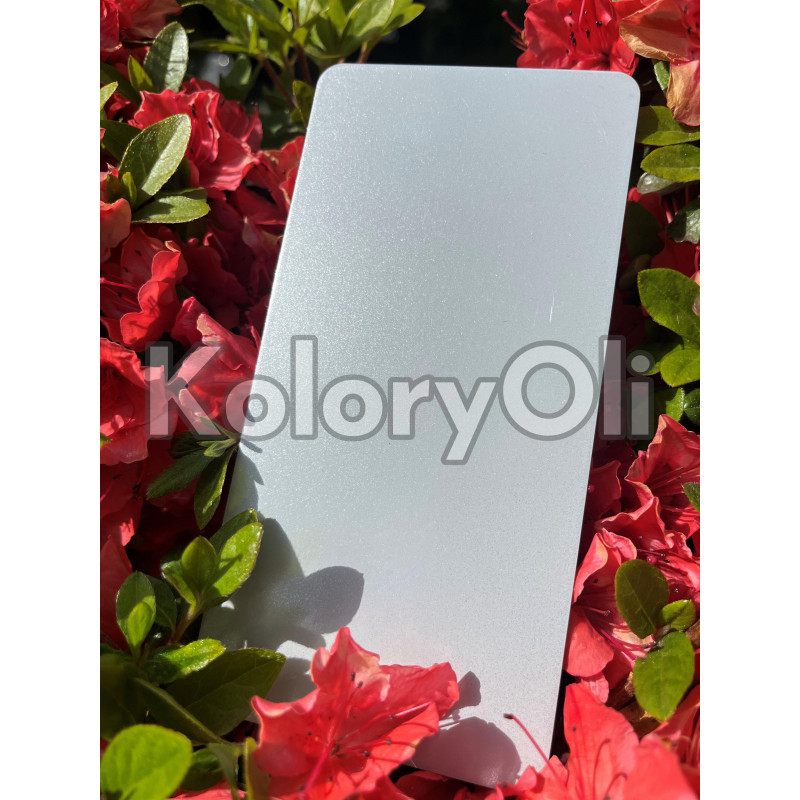 RAL 9006 bondowany QUALICOAT Farba Proszkowa Poliestrowa Kolor Szary Srebrny aluminiowy Gładki Połysk KO-L0123 RAL 9006 bondowany QUALICOAT Farba Proszkowa Poliestrowa Kolor Szary Srebrny aluminiowy Gładki Połysk KO-L0123