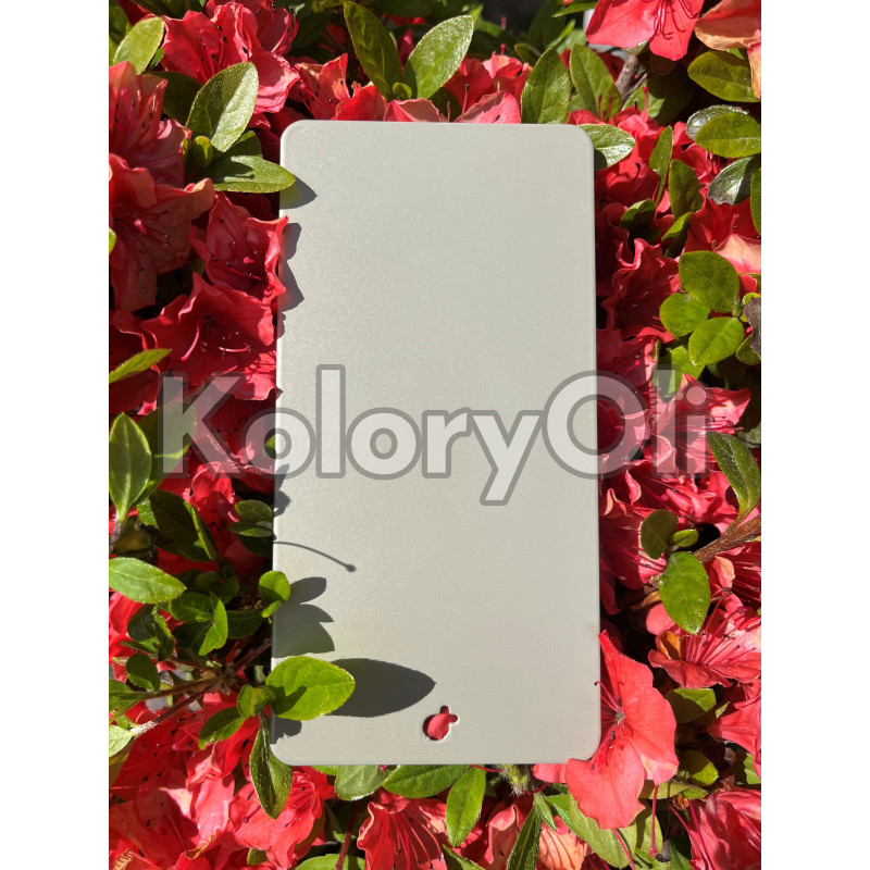 Stainless steel bondowany QUALICOAT 2 Farba Proszkowa Poliestrowa Kolor Stalowy beżowy Gładki Mat KO-L0141 Stainless steel bondowany QUALICOAT 2 Farba Proszkowa Poliestrowa Kolor Stalowy beżowy Gładki Mat KO-L0141