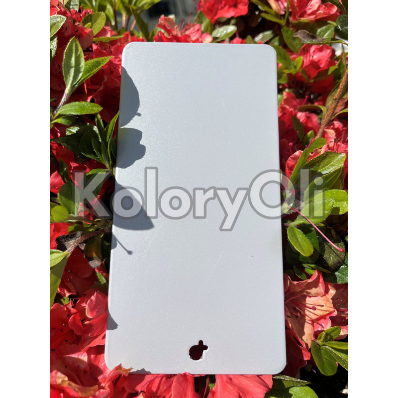 RAL 9006 bondowany QUALICOAT Farba Proszkowa Poliestrowa Kolor Szary Srebrny aluminiowy Gładki Mat KO-L0124