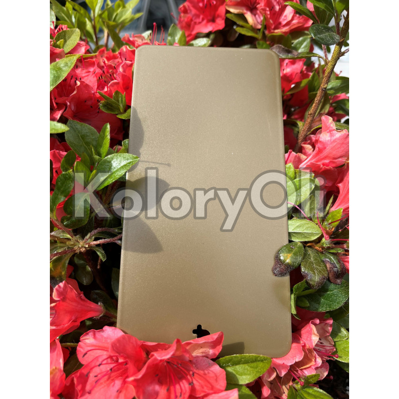 GOLD BRONZE bondowany QUALICOAT 2 Farba Proszkowa Poliestrowa Kolor brązowy złoty Gładki Mat KO-L0131 GOLD BRONZE bondowany QUALICOAT 2 Farba Proszkowa Poliestrowa Kolor brązowy złoty Gładki Mat KO-L0131