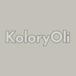 NCS S 2502-Y20R Farba Proszkowa Poliestrowa Gładki Mat KO-A00767 produkcja NCS S 2502-Y20R Farba Proszkowa Poliestrowa Gładki Mat KO-A00767 produkcja