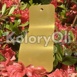 GOLD 0215 Farba Proszkowa Poliestrowa Kolor Złoty Żółty Gładki Połysk KO-N0069 GOLD 0215 Farba Proszkowa Poliestrowa Kolor Złoty Żółty Gładki Połysk KO-N0069
