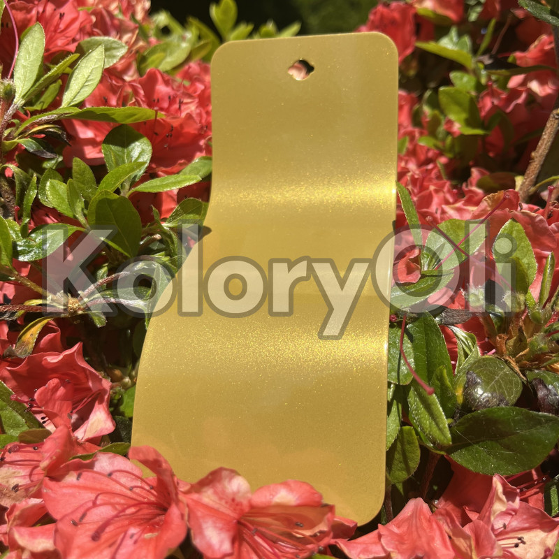 GOLD 0215 Farba Proszkowa Poliestrowa Kolor Złoty Żółty Gładki Połysk KO-N0069 GOLD 0215 Farba Proszkowa Poliestrowa Kolor Złoty Żółty Gładki Połysk KO-N0069