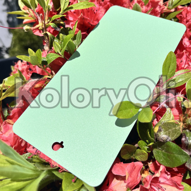 RAL 6019 QUALICOAT Farba Proszkowa Poliestrowa Kolor pastelowy zielony Drobna Struktura SuperMat KO-L0169 RAL 6019 QUALICOAT Farba Proszkowa Poliestrowa Kolor pastelowy zielony Drobna Struktura SuperMat KO-L0169