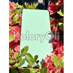 RAL 6019 QUALICOAT Farba Proszkowa Poliestrowa Kolor pastelowy zielony Drobna Struktura SuperMat KO-L0169 RAL 6019 QUALICOAT Farba Proszkowa Poliestrowa Kolor pastelowy zielony Drobna Struktura SuperMat KO-L0169