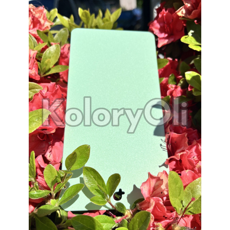 RAL 6019 QUALICOAT Farba Proszkowa Poliestrowa Kolor pastelowy zielony Drobna Struktura SuperMat KO-L0169 RAL 6019 QUALICOAT Farba Proszkowa Poliestrowa Kolor pastelowy zielony Drobna Struktura SuperMat KO-L0169