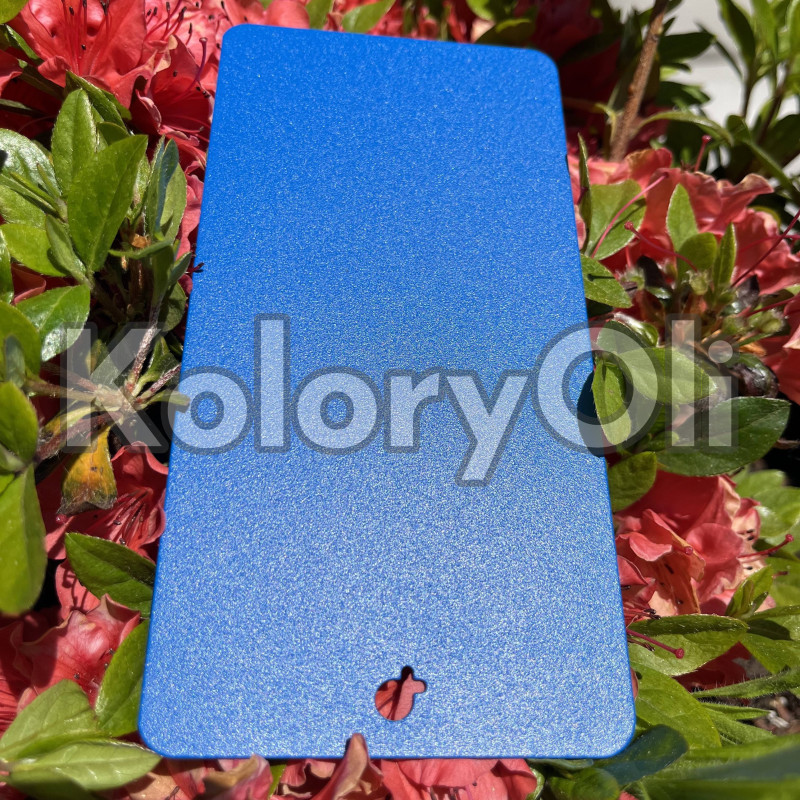 RAL 5017 QUALICOAT Farba Proszkowa Poliestrowa Kolor niebieski Drobna Struktura SuperMat KO-L0165 RAL 5017 QUALICOAT Farba Proszkowa Poliestrowa Kolor niebieski Drobna Struktura SuperMat KO-L0165