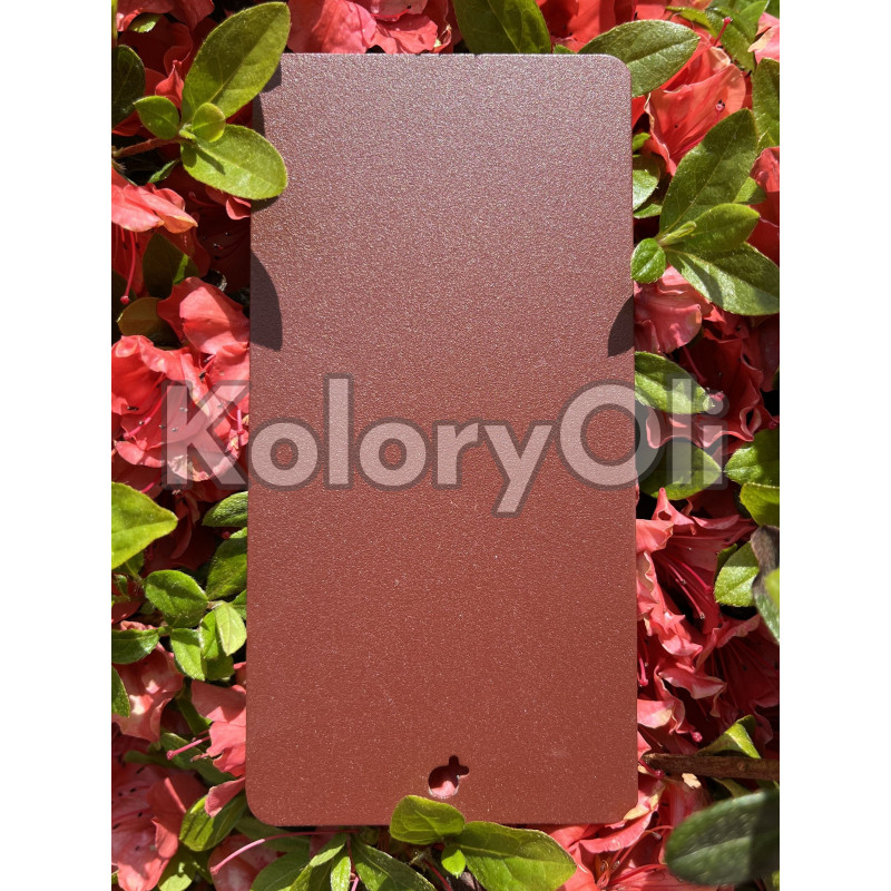 RED BROWN QUALICOAT Farba Proszkowa Poliestrowa Kolor Czerwony Brązowy Drobna Struktura SuperMat KO-L0164 RED BROWN QUALICOAT Farba Proszkowa Poliestrowa Kolor Czerwony Brązowy Drobna Struktura SuperMat KO-L0164