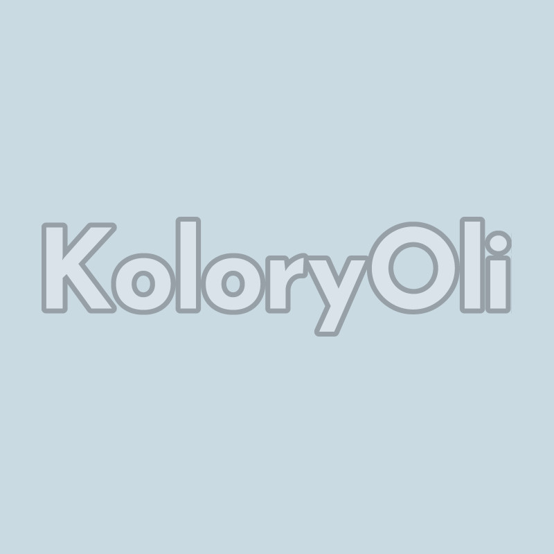 NCS S 1510-R80B Farba Proszkowa Poliestrowa Gładki Mat KO-A00769-produkcja