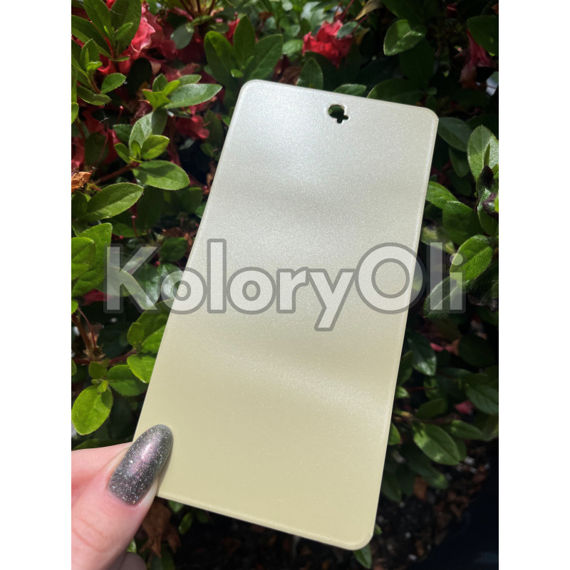CHAMPAGNE QUALICOAT bond Farba Proszkowa Poliestrowa Gładki Mat KO-L0152 CHAMPAGNE QUALICOAT bond Farba Proszkowa Poliestrowa Gładki Mat KO-L0152