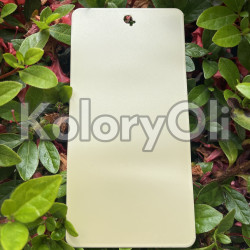 CHAMPAGNE QUALICOAT bond Farba Proszkowa Poliestrowa Gładki Mat KO-L0152 CHAMPAGNE QUALICOAT bond Farba Proszkowa Poliestrowa Gładki Mat KO-L0152