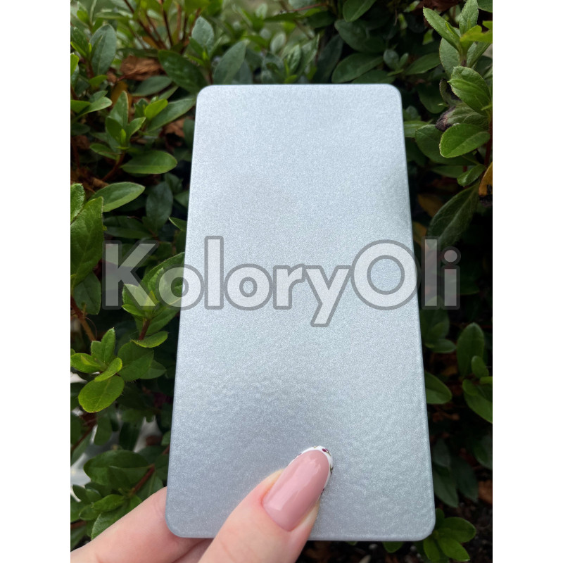 RAL 9006 QUALICOAT TERMOPLASTYCZNA (ELASTYCZNA) Farba Proszkowa Gładki Połysk KO-L0217 RAL 9006 QUALICOAT TERMOPLASTYCZNA (ELASTYCZNA) Farba Proszkowa Gładki Połysk KO-L0217