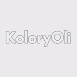 NCS S 1005-R30B Farba Proszkowa Poliestrowa Gładki Połysk KO-A00773