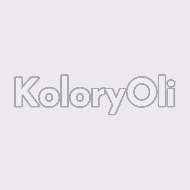 NCS S 1005-R30B Farba Proszkowa Poliestrowa Gładki Połysk KO-A00773