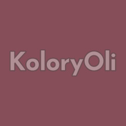 RAL/D2 DESIGN 010 40 25 Farba Proszkowa Poliestrowa Kolor Bordowy Kolor Bordowy Gładki Półpołysk KO-A00442 - produkcja