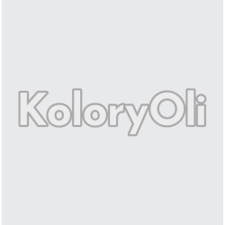 NCS S 1002-B Farba Proszkowa Poliestrowa Gładki SuperPołysk KO-A00709 PRODUKCJA