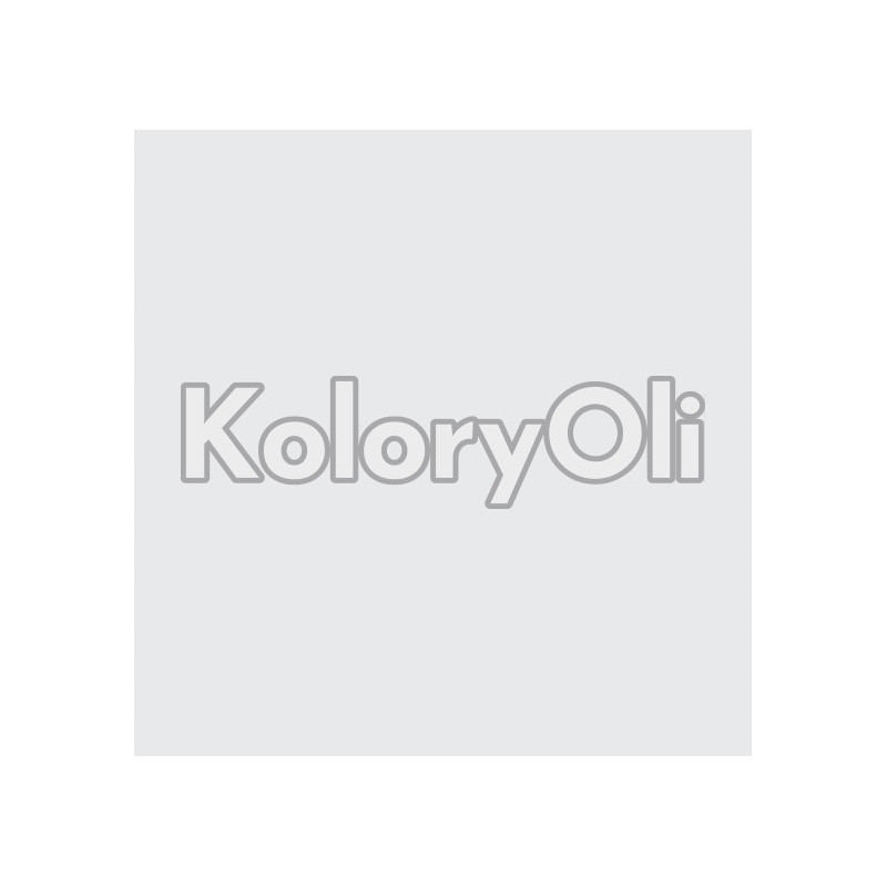 NCS S 1002-B Farba Proszkowa Poliestrowa Gładki SuperPołysk KO-A00709 PRODUKCJA NCS S 1002-B Farba Proszkowa Poliestrowa Gładki SuperPołysk KO-A00709 PRODUKCJA