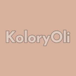 NCS S 2020-Y70R Farba Proszkowa Poliestrowa Gładki Mat (25-35%) KO-A00712-produkcja