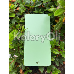 RAL 6019 QUALICOAT Farba Proszkowa Poliestrowa Kolor Pastelowy zielony Gładki Mat KO-L0204 RAL 6019 QUALICOAT Farba Proszkowa Poliestrowa Kolor Pastelowy zielony Gładki Mat KO-L0204