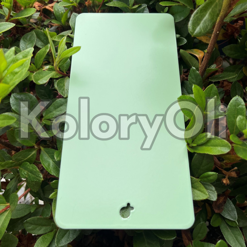 RAL 6019 QUALICOAT Farba Proszkowa Poliestrowa Kolor Pastelowy zielony Gładki Mat KO-L0204 RAL 6019 QUALICOAT Farba Proszkowa Poliestrowa Kolor Pastelowy zielony Gładki Mat KO-L0204