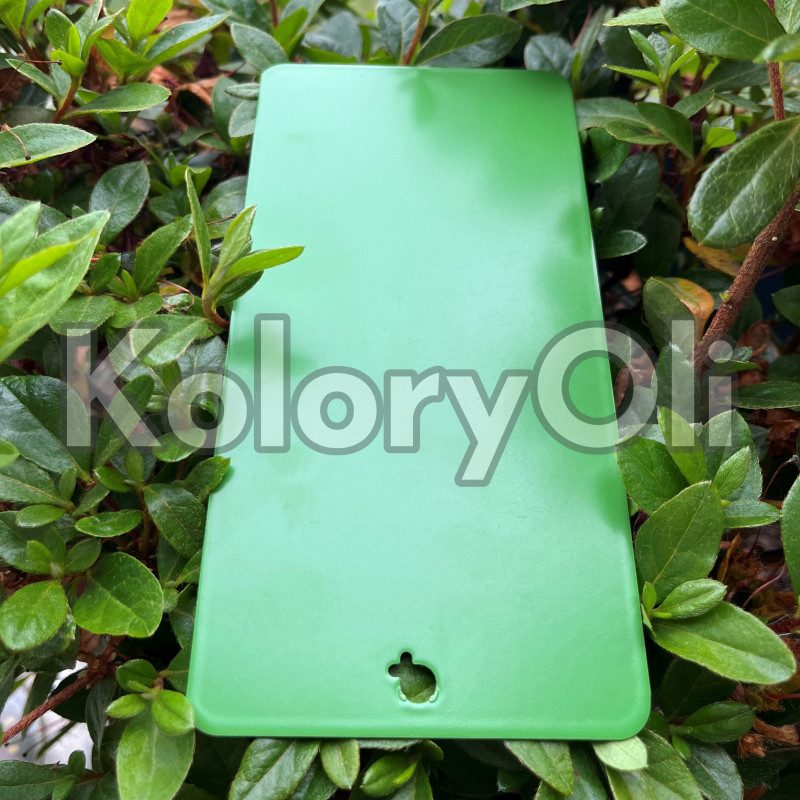 RAL 6017 QUALICOAT 2 Farba Proszkowa Poliestrowa Kolor Zielony Gładki Mat KO-L0213 RAL 6017 QUALICOAT 2 Farba Proszkowa Poliestrowa Kolor Zielony Gładki Mat KO-L0213