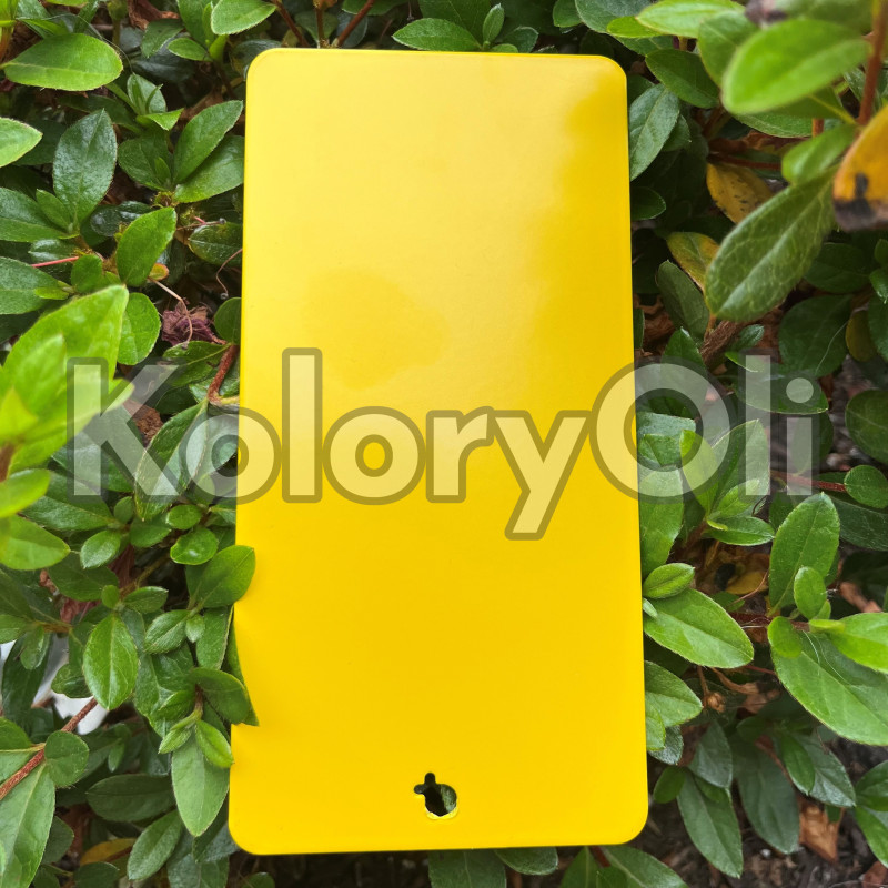 RAL 1023 QUALICOAT 2 Farba Proszkowa Poliestrowa Kolor Żółty Gładki Mat KO-L0195 RAL 1023 QUALICOAT 2 Farba Proszkowa Poliestrowa Kolor Żółty Gładki Mat KO-L0195
