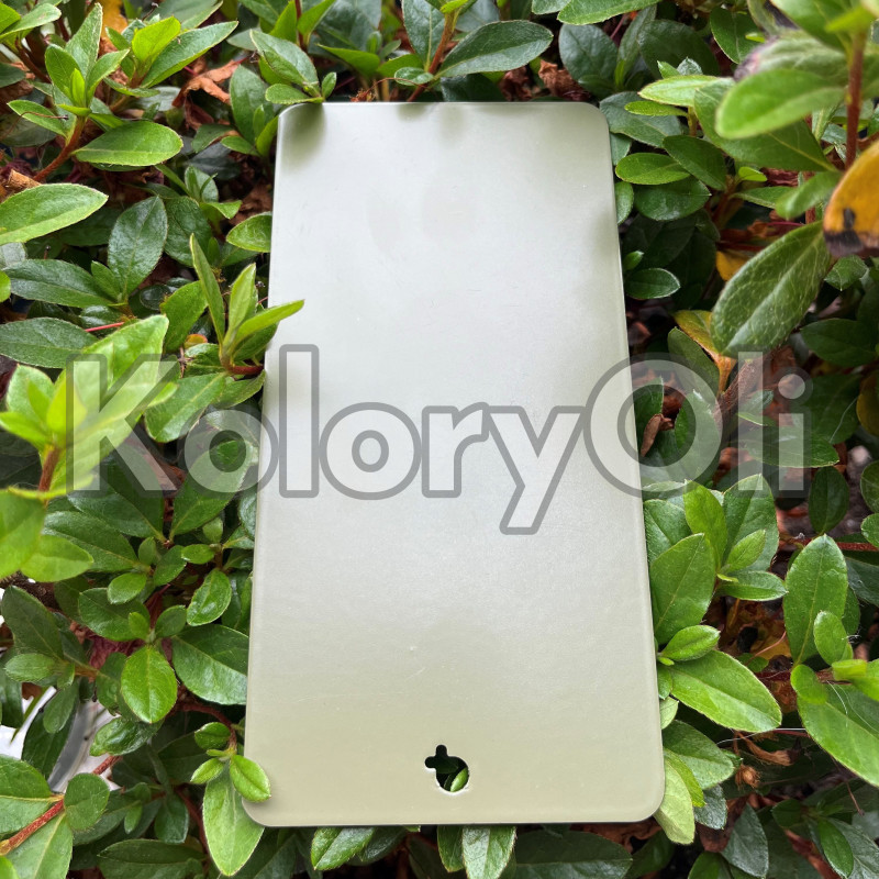 RAL 6013 QUALICOAT Farba Proszkowa Poliestrowa Kolor Zielony Gładki Mat KO-L0202 RAL 6013 QUALICOAT Farba Proszkowa Poliestrowa Kolor Zielony Gładki Mat KO-L0202