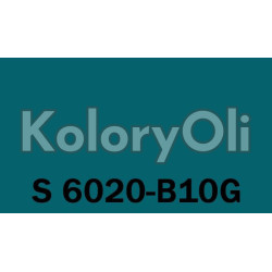 NCS S 6020-B10G Farba Proszkowa Poliestrowa Gładki SUPERMAT KO-A00774