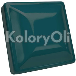 RAL 5020 Farba Proszkowa Poliestrowa Kolor Niebieski Zielony Gruba Struktura KO-W0170 RAL 5020 Farba Proszkowa Poliestrowa Kolor Niebieski Zielony Gruba Struktura KO-W0170