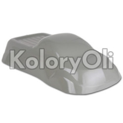 RAL 7023 Farba Proszkowa Poliestrowa Kolor Szary Betonowy Gruba Struktura KO-W0185 RAL 7023 Farba Proszkowa Poliestrowa Kolor Szary Betonowy Gruba Struktura KO-W0185