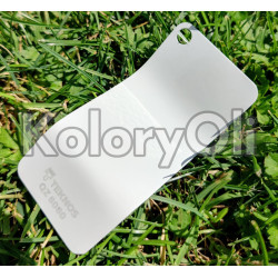 RAL 7035 Farba Proszkowa Poliestrowa Kolor Szary Jasny Połysk KO-W0187 RAL 7035 Farba Proszkowa Poliestrowa Kolor Szary Jasny Połysk KO-W0187