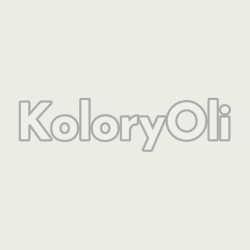RAL 9003 Farba Proszkowa Poliestrowa Kolor Biały Sygnałowy Połysk KO-W0199 RAL 9003 Farba Proszkowa Poliestrowa Kolor Biały Sygnałowy Połysk KO-W0199