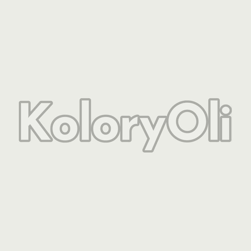 RAL 9003 Farba Proszkowa Poliestrowa Kolor Biały Sygnałowy Połysk KO-W0199