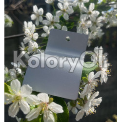 RAL 9006 Srebrny Metalik Farba Proszkowa Poliestrowa Gładki Mat KO-W0202 RAL 9006 Srebrny Metalik Farba Proszkowa Poliestrowa Gładki Mat KO-W0202