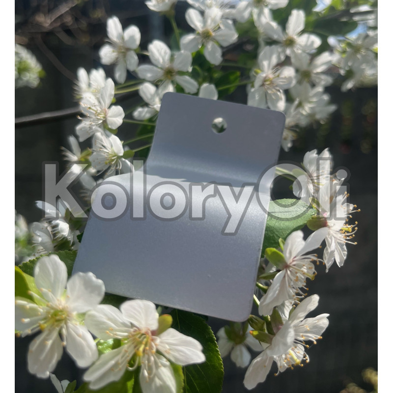 RAL 9006 Srebrny Metalik Farba Proszkowa Poliestrowa Gładki Mat KO-W0202 RAL 9006 Srebrny Metalik Farba Proszkowa Poliestrowa Gładki Mat KO-W0202