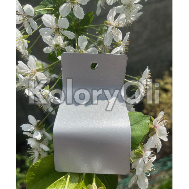 RAL 9006 Srebrny Metalik Farba Proszkowa Poliestrowa Gładki Mat KO-W0202 RAL 9006 Srebrny Metalik Farba Proszkowa Poliestrowa Gładki Mat KO-W0202