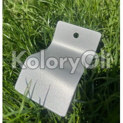 RAL 9006 Srebrny Metalik Farba Proszkowa Poliestrowa Gładki Mat KO-W0202 RAL 9006 Srebrny Metalik Farba Proszkowa Poliestrowa Gładki Mat KO-W0202