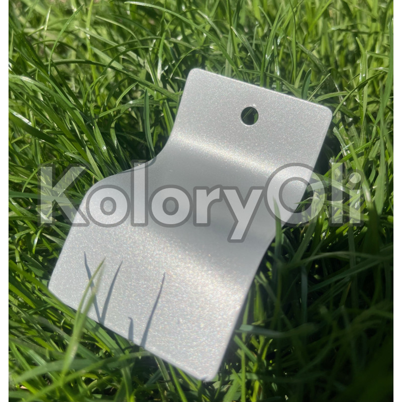 RAL 9006 Srebrny Metalik Farba Proszkowa Poliestrowa Gładki Mat KO-W0202