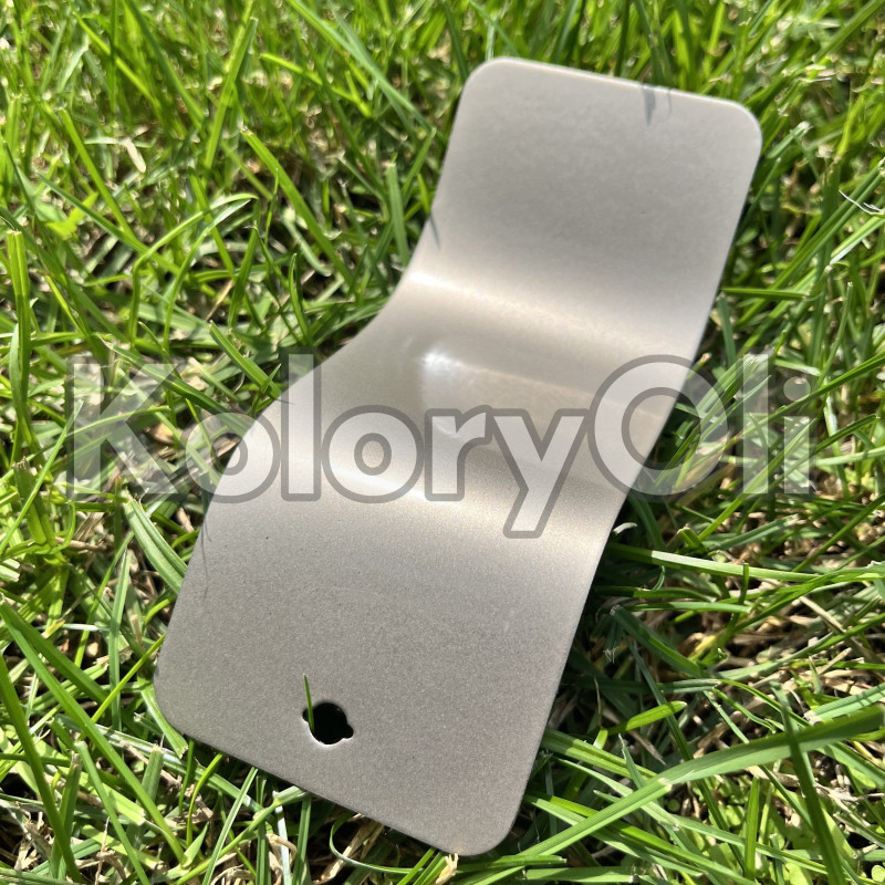 SILVER GOLD Farba Proszkowa Poliestrowa Kolor Srebrny Złoty Gładka Satyna/Półpołysk KO-N0664
