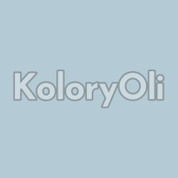 RAL/D2 DESIGN 230 80 10 Farba Proszkowa Poliestrowa Drobna Struktura KO-A00783 - produkcja