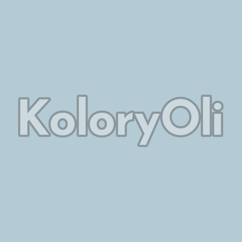 RAL/D2 DESIGN 230 80 10 Farba Proszkowa Poliestrowa Drobna Struktura KO-A00783 - produkcja