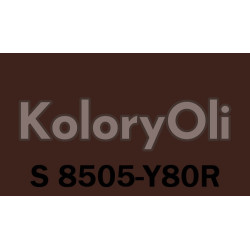 NCS S 8505-Y80R Farba Proszkowa Poliestrowa Drobna Struktura Mat KO-A00785-produkcja