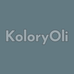 RAL/D2 220 50 10 Farba Proszkowa Poliestrowa Kolor Szaro-Burzowy Gładki Półpołysk KO-A00788 - produkcja