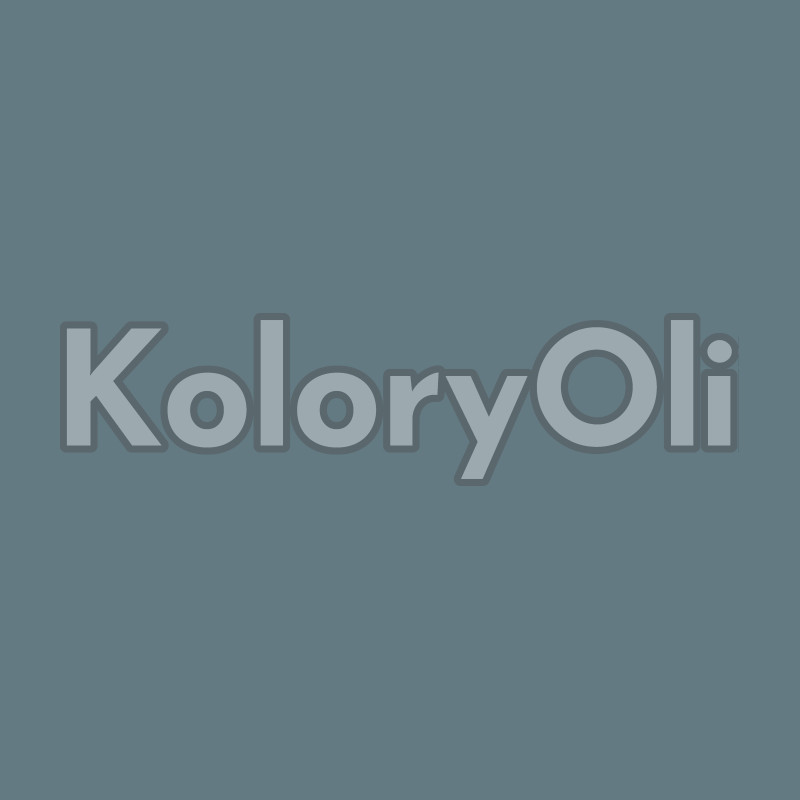 RAL/D2 220 50 10 Farba Proszkowa Poliestrowa Kolor Szaro-Burzowy Gładki Półpołysk KO-A00788 - produkcja