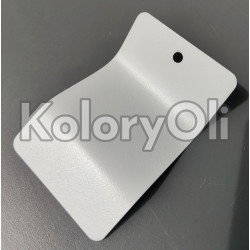 RAL 7035 Farba Proszkowa Poliestrowa Kolor Szary Jasny Drobna Struktura Mat KO-I052 RAL 7035 Farba Proszkowa Poliestrowa Kolor Szary Jasny Drobna Struktura Mat KO-I052