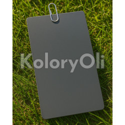 RAL 7016 Farba Proszkowa Poliestrowa Niskotemperaturowa Kolor Antracyt Gładki Półpołysk/Satyna KO-00024