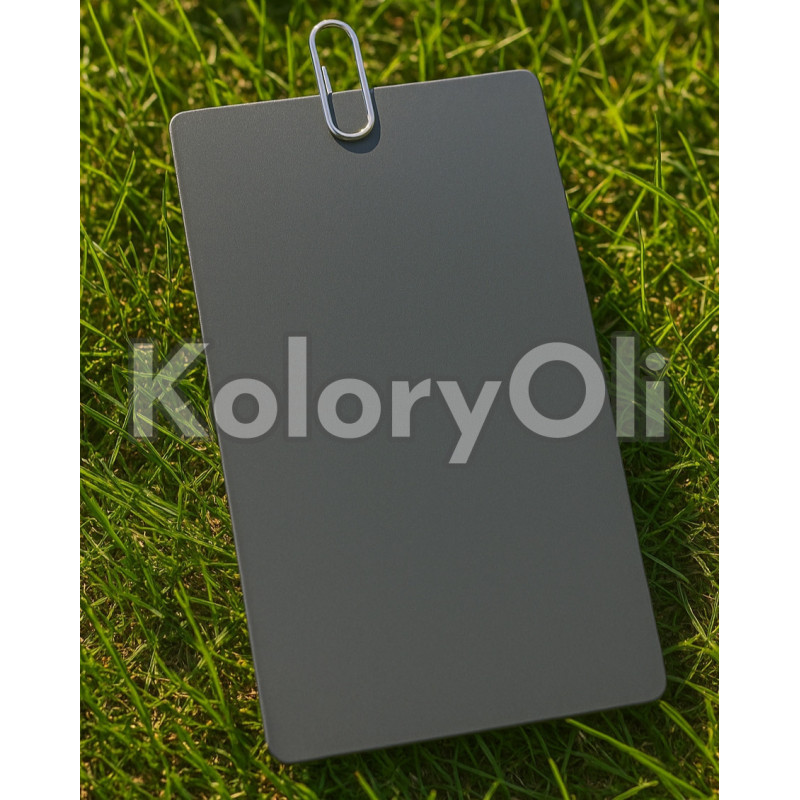 RAL 7016 Farba Proszkowa Poliestrowa Niskotemperaturowa Kolor Antracyt Gładki Półpołysk/Satyna KO-00024 RAL 7016 Farba Proszkowa Poliestrowa Niskotemperaturowa Kolor Antracyt Gładki Półpołysk/Satyna KO-00024
