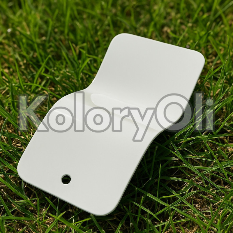 RAL 9003 QUALICOAT Farba Proszkowa Poliestrowa Kolor Biały Sygnałowy Gładki Połysk KO-AZ0044 RAL 9003 QUALICOAT Farba Proszkowa Poliestrowa Kolor Biały Sygnałowy Gładki Połysk KO-AZ0044