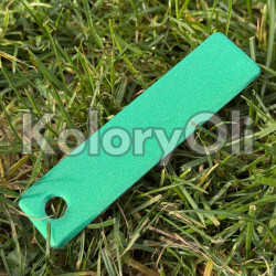 PRISMATIC PLANKTON Farba Proszkowa Poliestrowa Kolor Zielony Połysk KO-PP0847 PRISMATIC PLANKTON Farba Proszkowa Poliestrowa Kolor Zielony Połysk KO-PP0847
