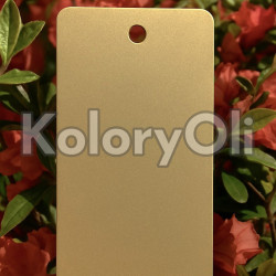 BONDED GOLD QUALICOAT Farba Proszkowa Poliestrowa Gładki Mat KO-L0220